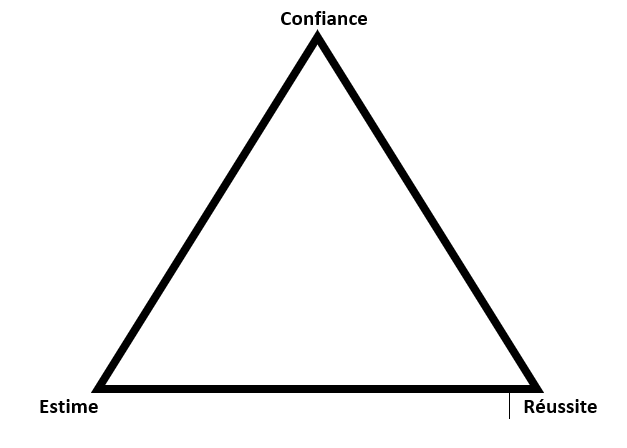 J'ai testé pour vous deux outils de taille sur perche. - Triangle